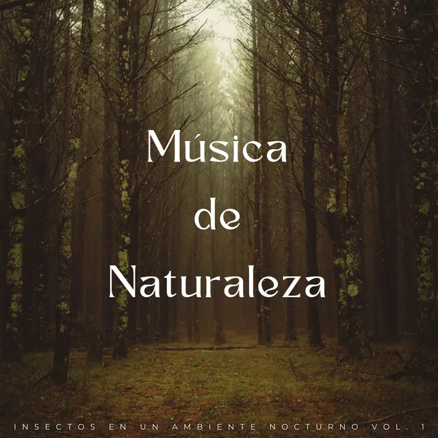 Música De Naturaleza: Insectos En Un Ambiente Nocturno Vol. 1