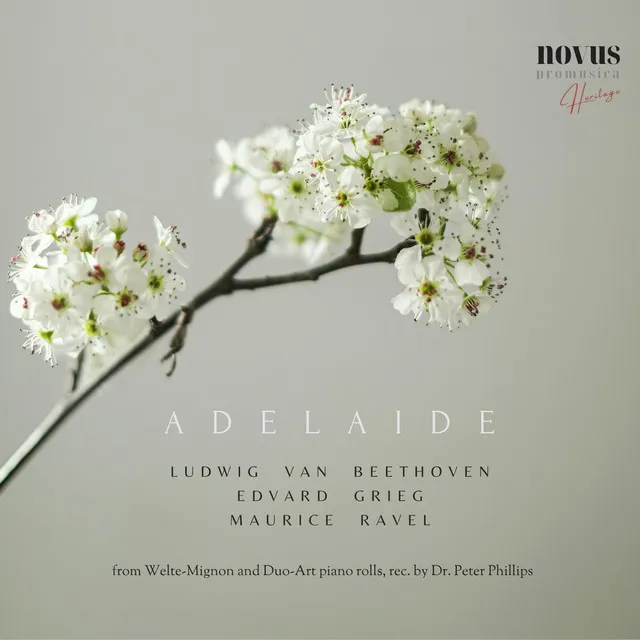 6 Songs, Op. 48: No. 6, a Dream (Arr. For Solo Piano by Armbruster) - Duo-Art 104276