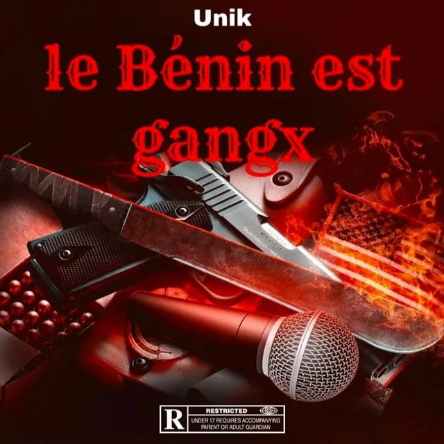 Le Bénin est gangx