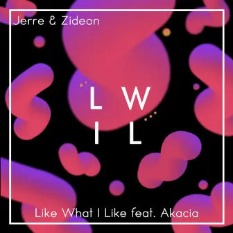 Like What I Like by Jerre