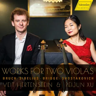 Bruch, Sibelius & Others: Works for 2 Violas by Veit Hertenstein