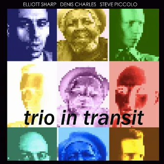 Trio in Transit (Live) by Denis Charles