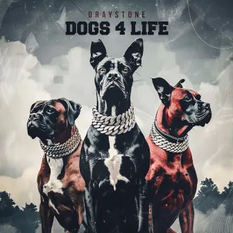 Dogs 4 Life by Draystone