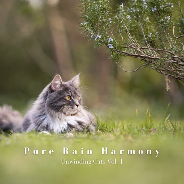 Pure Rain Harmony: Unwinding Cats Vol. 1