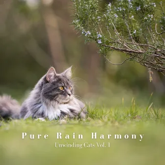 Pure Rain Harmony: Unwinding Cats Vol. 1 by Sleepy Cats