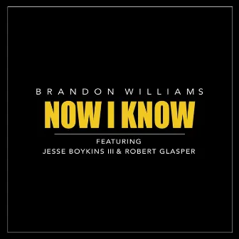 Now I Know (feat. Jesse Boykins III & Robert Glasper) by Brandon Williams