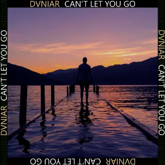 Can't Let You Go by DVNIAR