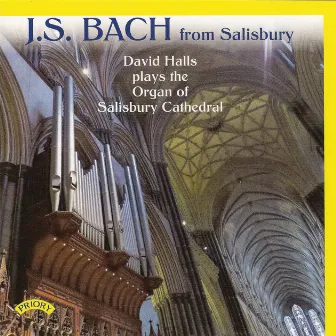 Bach from Salisbury by David Halls