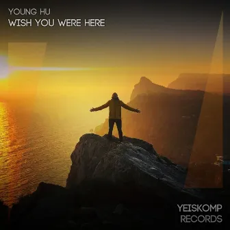 Wish You Were Here by Young Hu