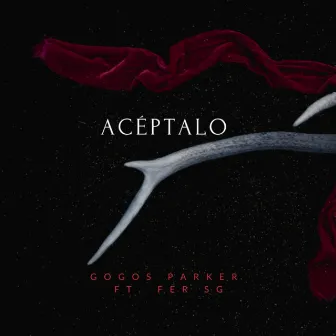 Acéptalo by Gogos Parker