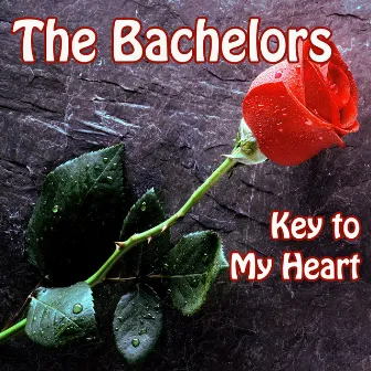 Key to My Heart by The Bachelors