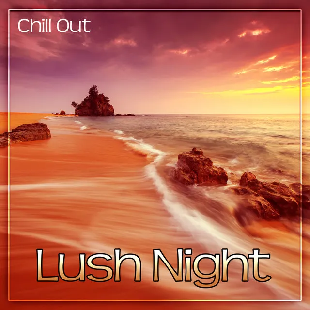 Lush Night Chill Out – Positive Vibes Lounge Summer, Beach Party, Deep House Chill, Beach Chill, Sexy Zone, Summer Time