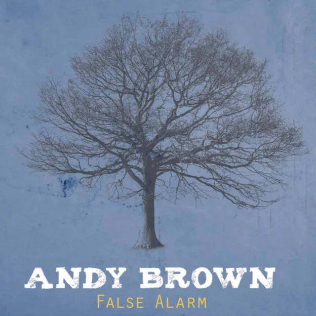 Andy Brown