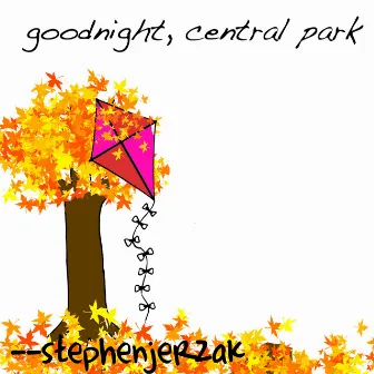 Goodnight, Central Park by Stephen Jerzak