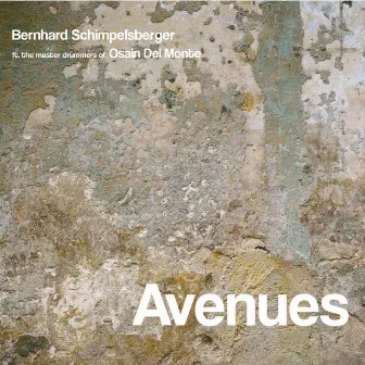 Avenues by Bernhard Schimpelsberger