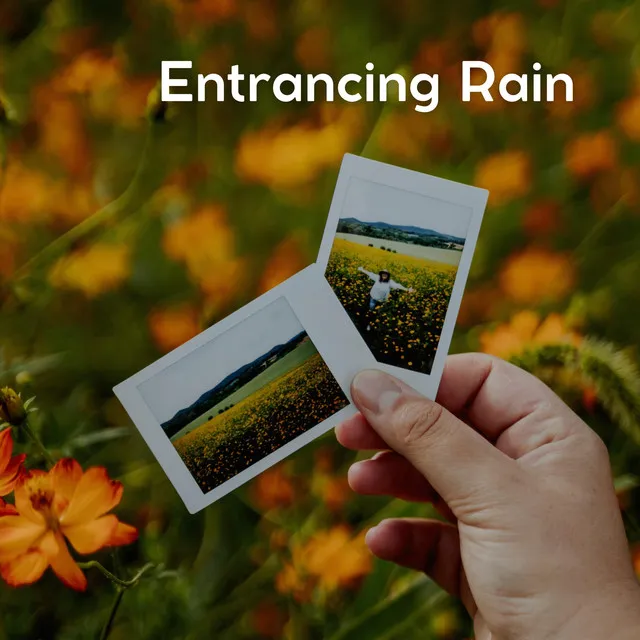 Entrancing Rain