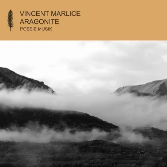 Aragonite by Vincent Marlice