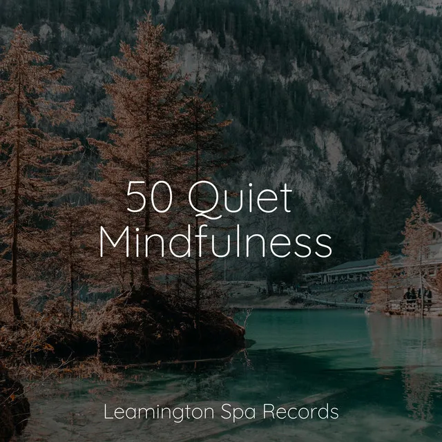 50 Quiet Mindfulness