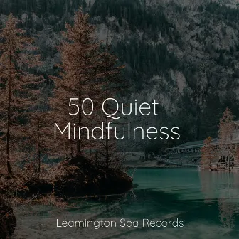 50 Quiet Mindfulness by Pro Sounds of Nature