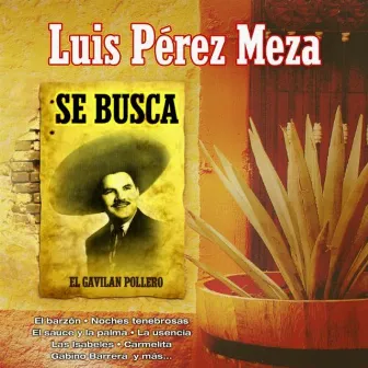 Se Busca by Luis Pérez Meza