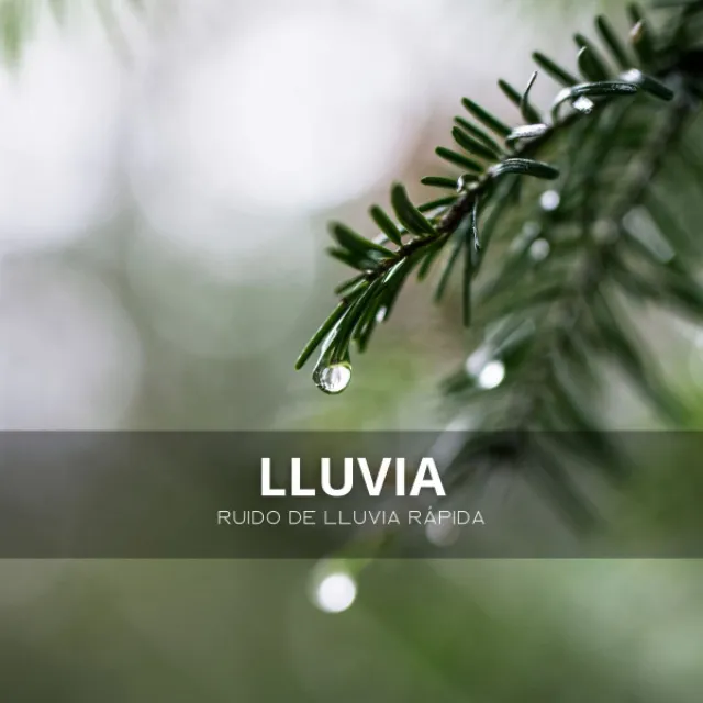 Lluvia: Ruido De Lluvia Rápida