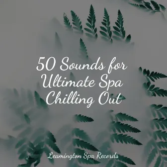 50 Sounds for Ultimate Spa Chilling Out by Meditation Music Experience