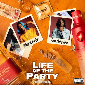 Life of the Party by Don Perrion