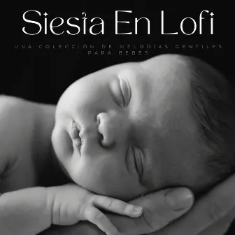 Siesta En Lofi: Una Colección De Melodías Gentiles Para Bebés by Bebés de melodía