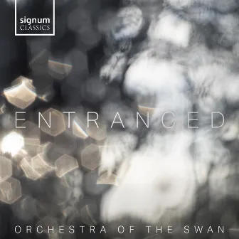 Entranced by Orchestra of the Swan