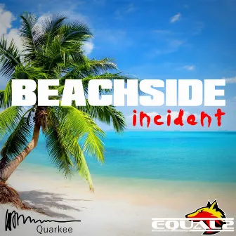 Beachside Incident by Quarkee