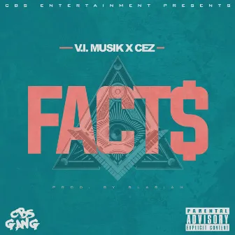 Facts by V.I. Musik