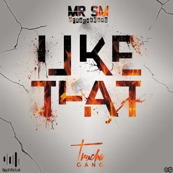 Like That by MrSM