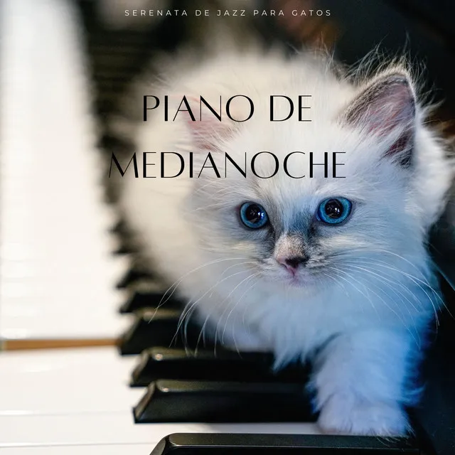 Piano De Medianoche: Serenata De Jazz Para Gatos