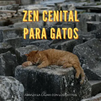 Zen Cenital Para Gatos: Abraza La Calma Con Los Gatitos by Energía en órbita