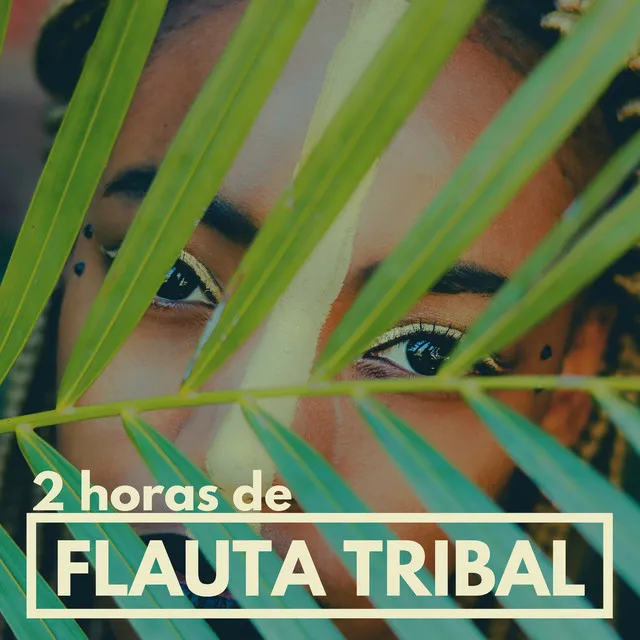 2 Horas de Flauta Tribal - Música Instrumental Ir a la Cama, Calmarse y Sueño Profundo y Reparador