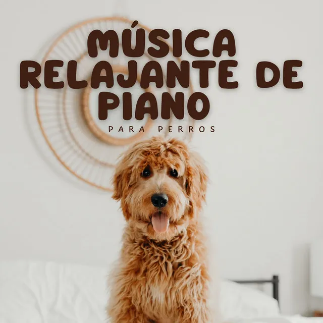 Relájate la música de mi perro