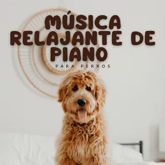 Música Relajante De Piano Para Perros by Relájate la música de mi perro