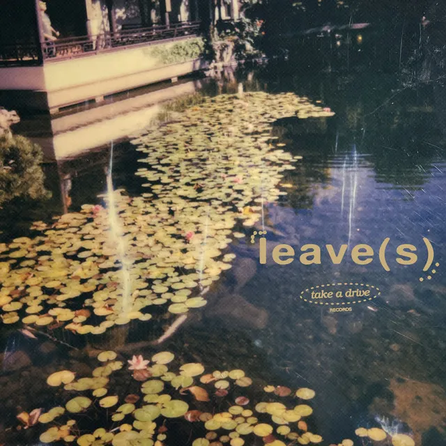 leave(s)