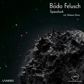 Spacefunk by Bodo Felusch