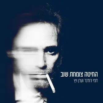 החיטה צומחת שוב by Eran Weitz