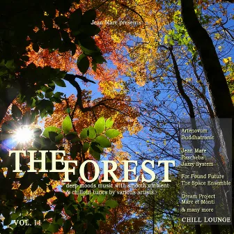 The Forest Chill Lounge, Vol. 11 (Deep Moods Music with Smooth Ambient & Chillout Tunes) by Jean Mare