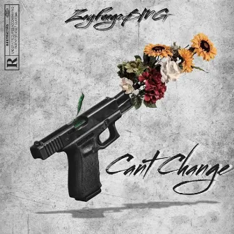 Cant Change by ZayFuegoBMG