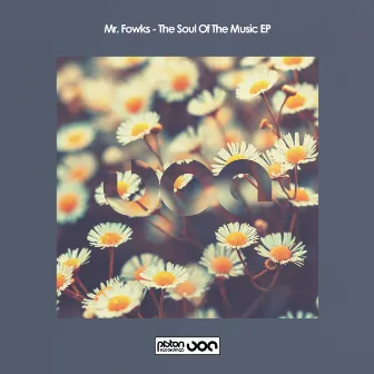 The Soul Of The Music EP by Mr. Fowks