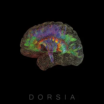 Dorsia by Dorsia