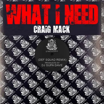 What I Need Remix by Craig Mack