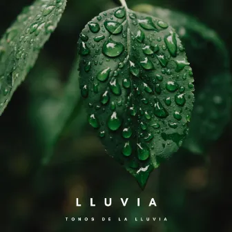 Lluvia: Tonos De La Lluvia by Musica para Dormir Radio