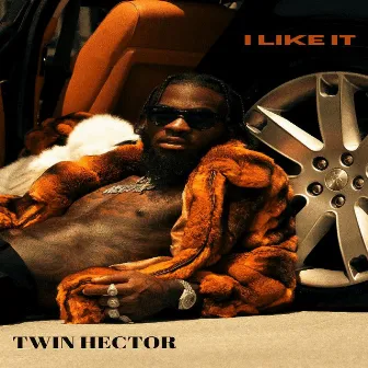 I Like It by Twin Hector