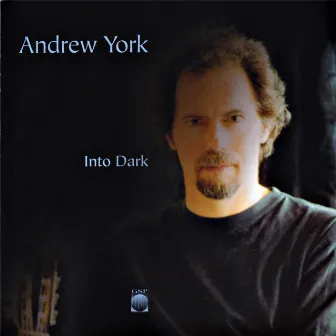 Into Dark by Andrew York