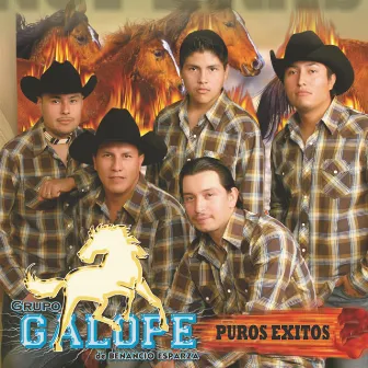 Puros Exitos by Grupo Galope