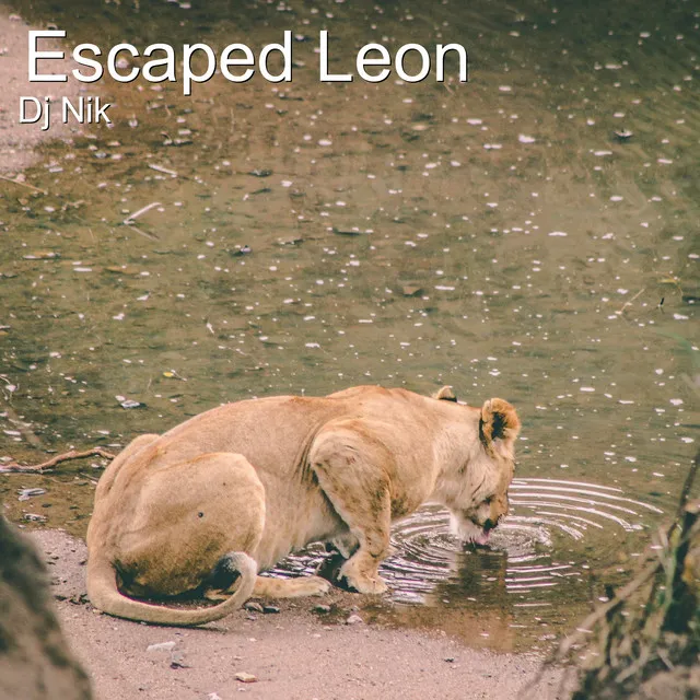 Escaped Leon - Bigroom Music